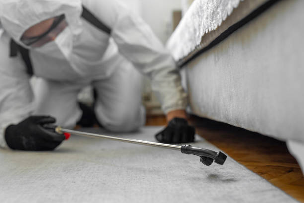 Professional Bed Bug Control technician working in West St. Paul, MN