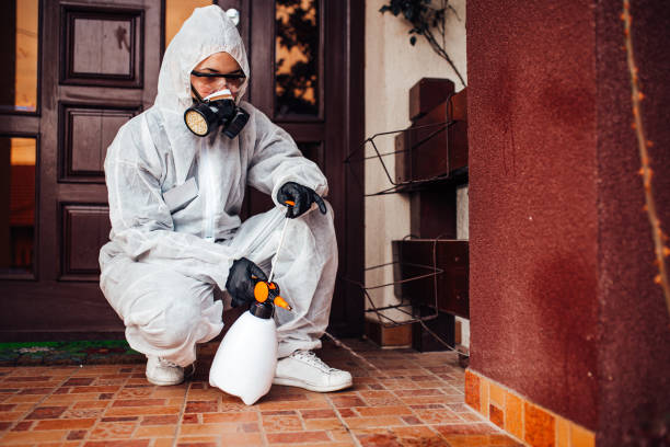 Reliable Bed Bug Control contractor in West St. Paul, MN by Nex Pest Control